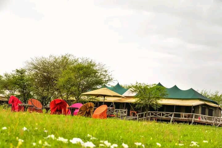 TRAVEL IN TANZANIA-Dar es Salaam必去景点