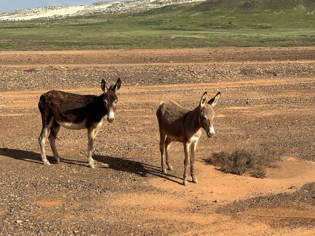 Spinguera Ecolodge主图