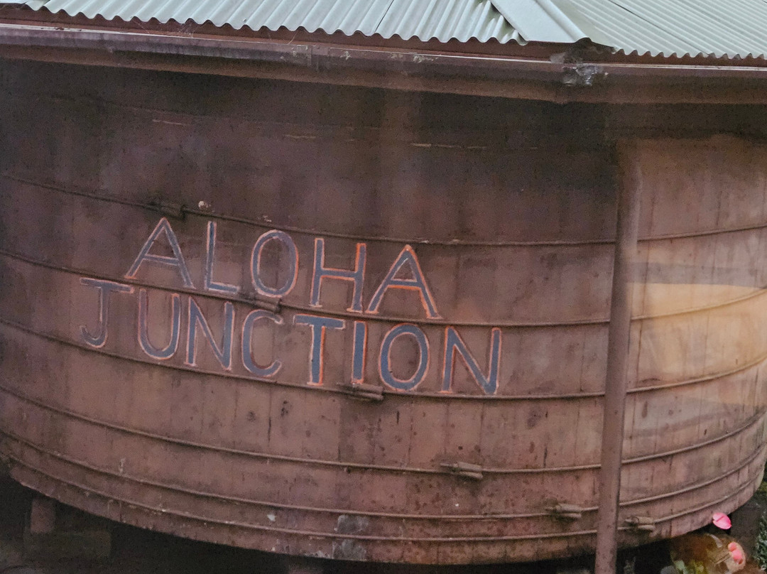 阿洛哈交汇家庭式旅馆主图