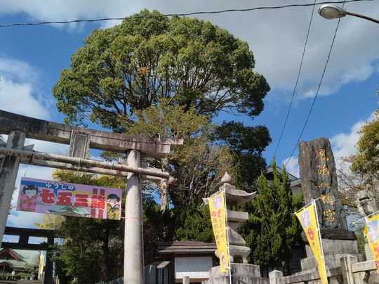 Fuji Hachimangu Shrine-田川市必去景点