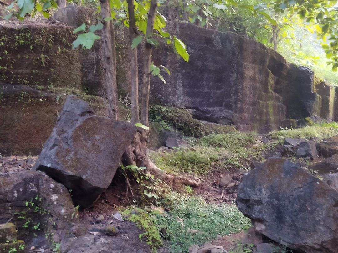 Panhalekaji Caves景点图片