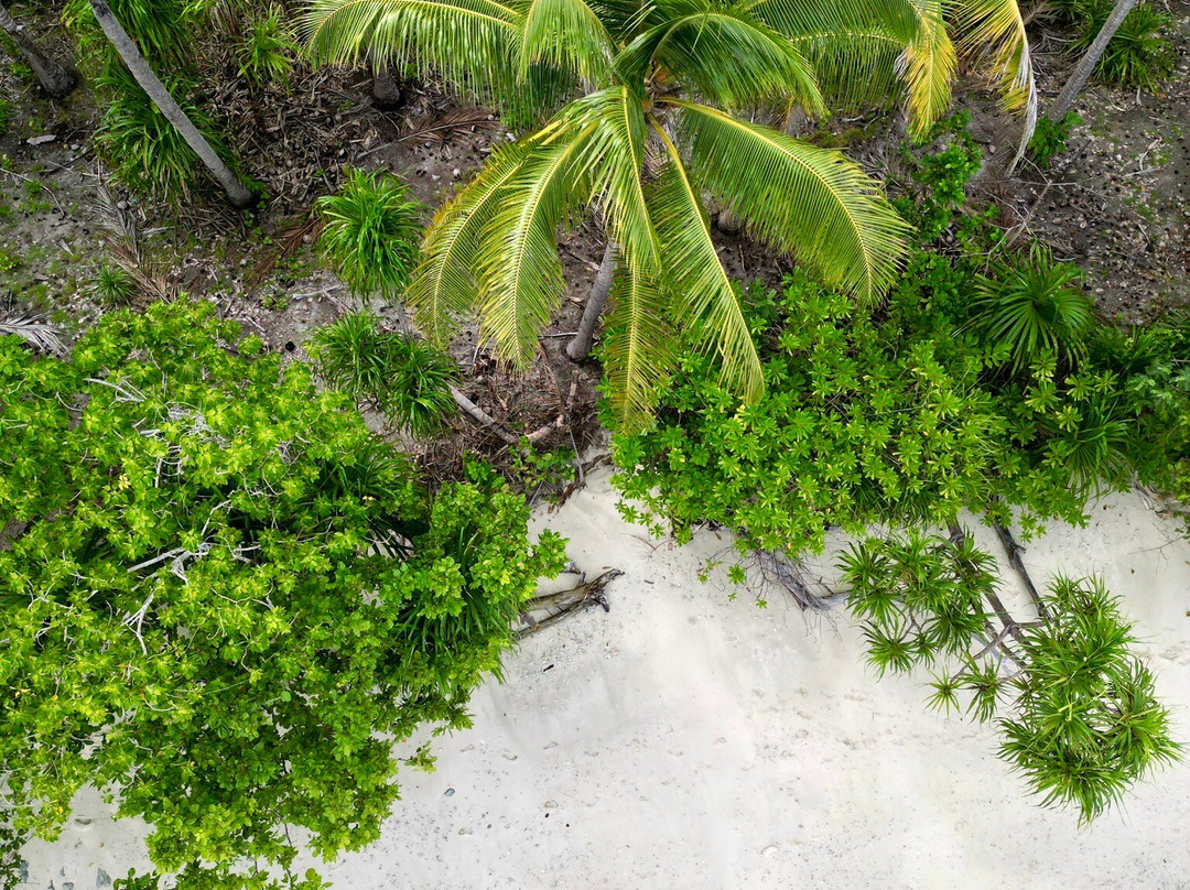 Methos Homestay - Raja Ampat主图