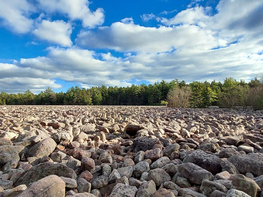 Boulder Field景点图片