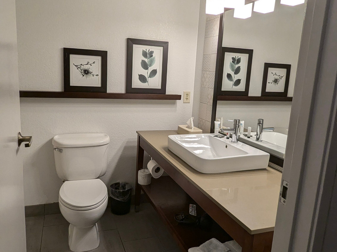 Country Inn & Suites by Radisson, Novi, MI主图