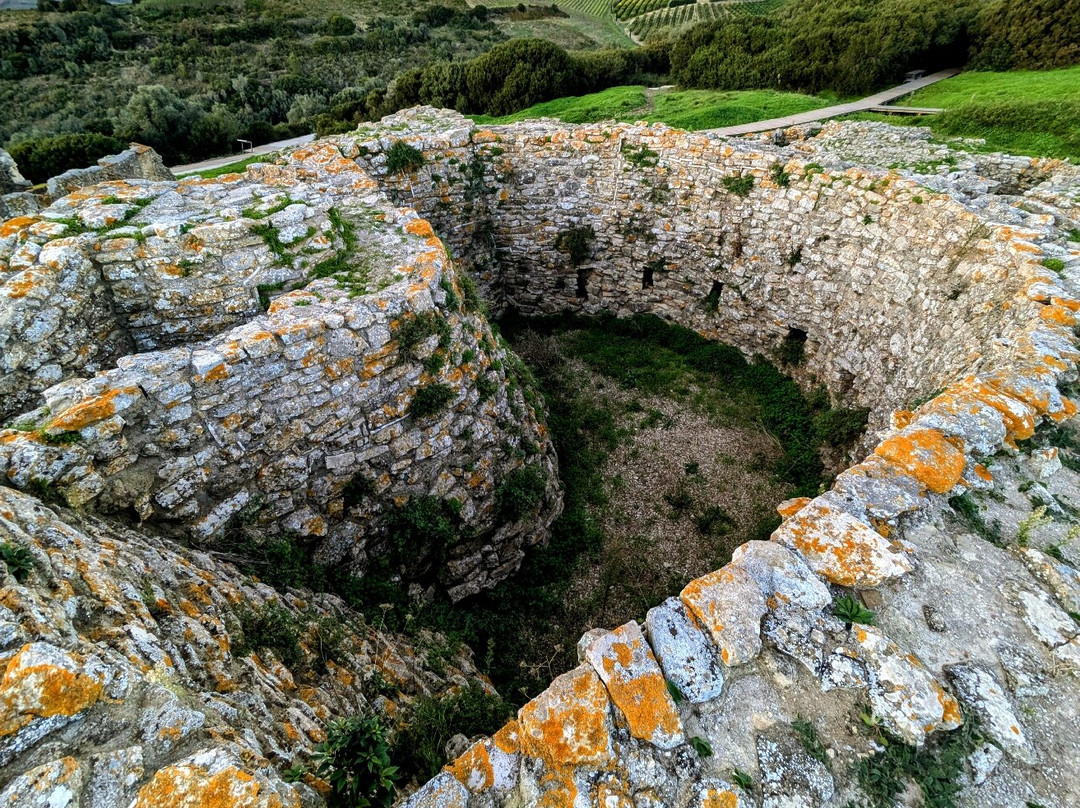 Sítio Arqueológico Castro do Zambujal景点图片