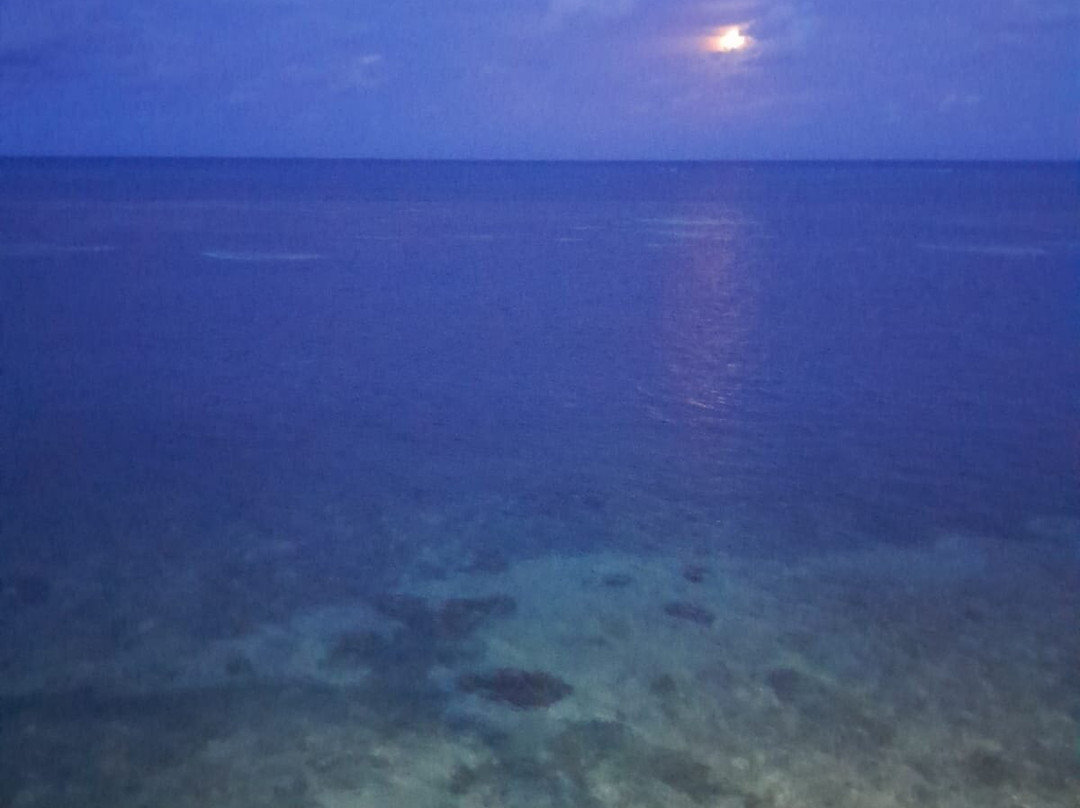 Decameron Aquarium主图