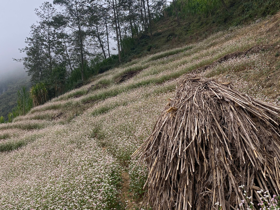 Wings Ha Giang Loop景点图片