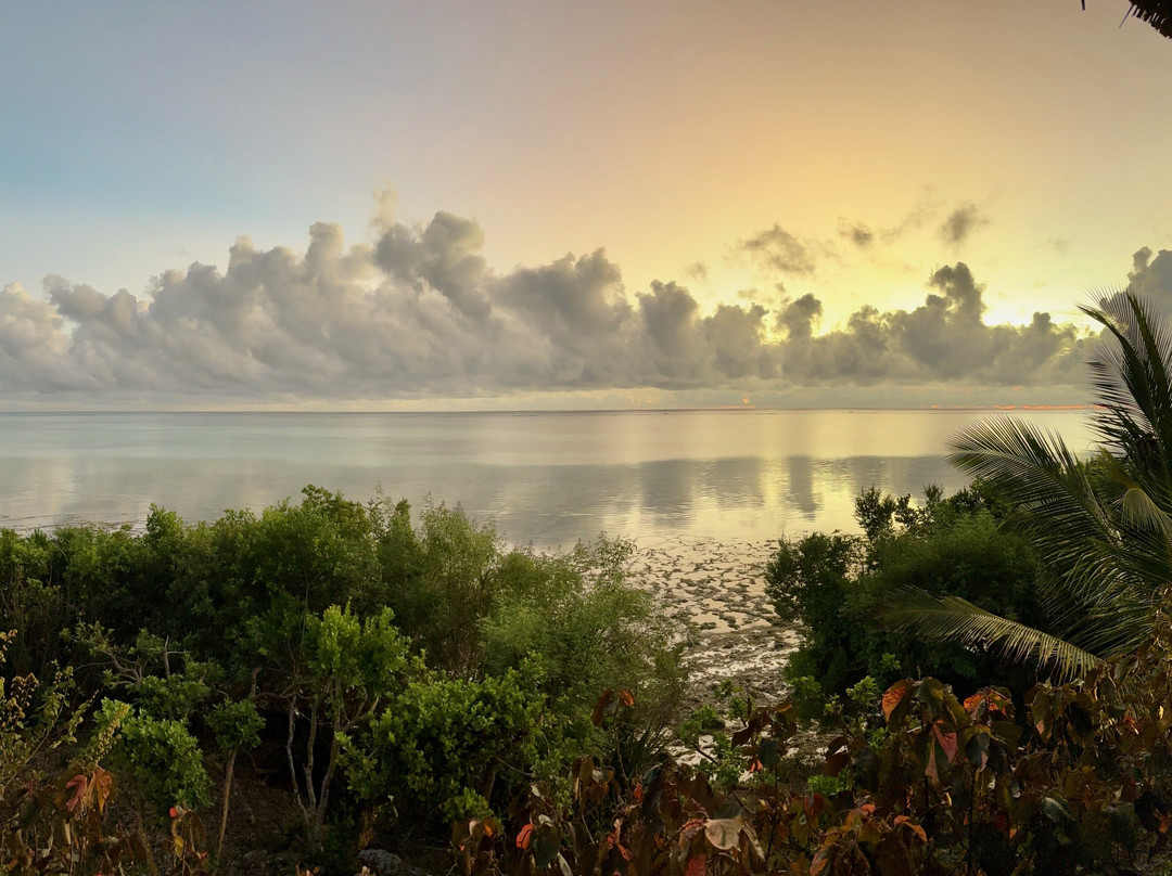 桑给巴尔美利亚酒店主图