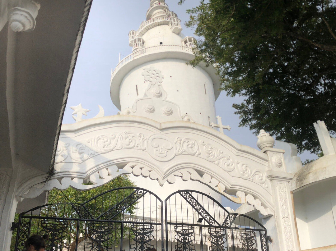 Vira Ceylon Tours & Travels景点图片