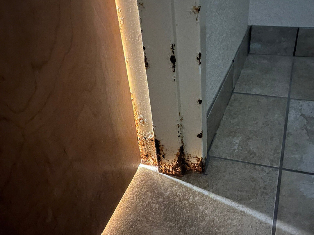 Quality Suites Convention Center主图