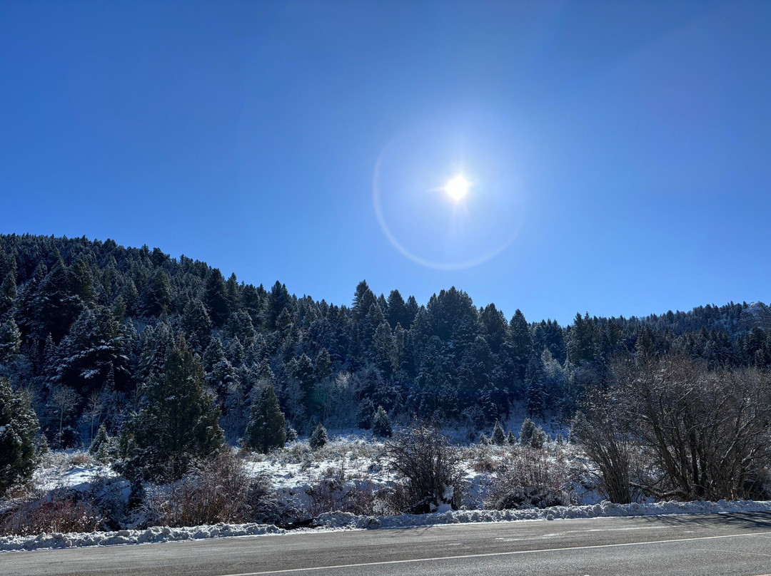 Logan Canyon Scenic Drive-洛根必去景点