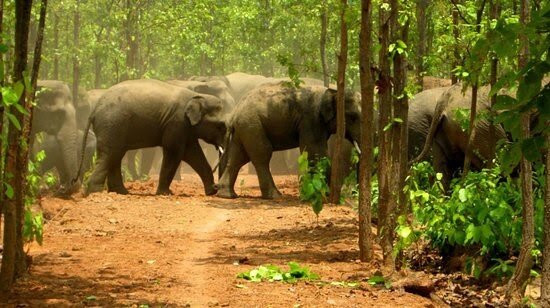 Dalma Wildlife Sanctuary景点图片