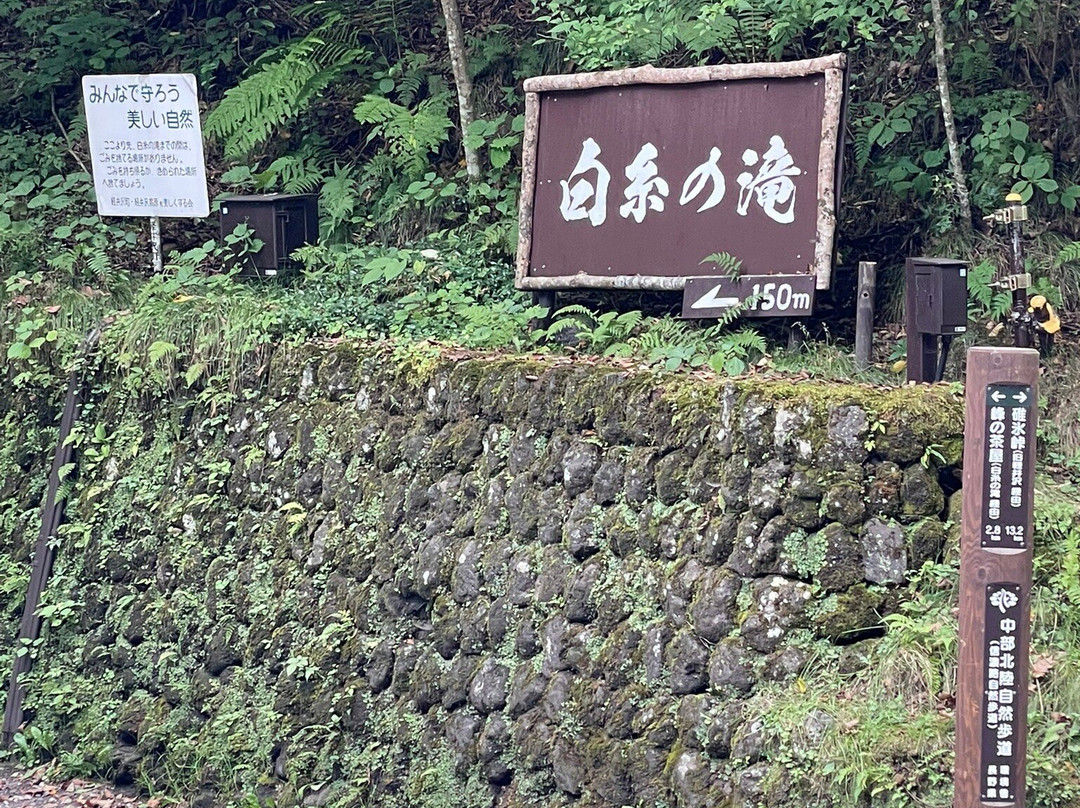 白糸瀑布景点图片