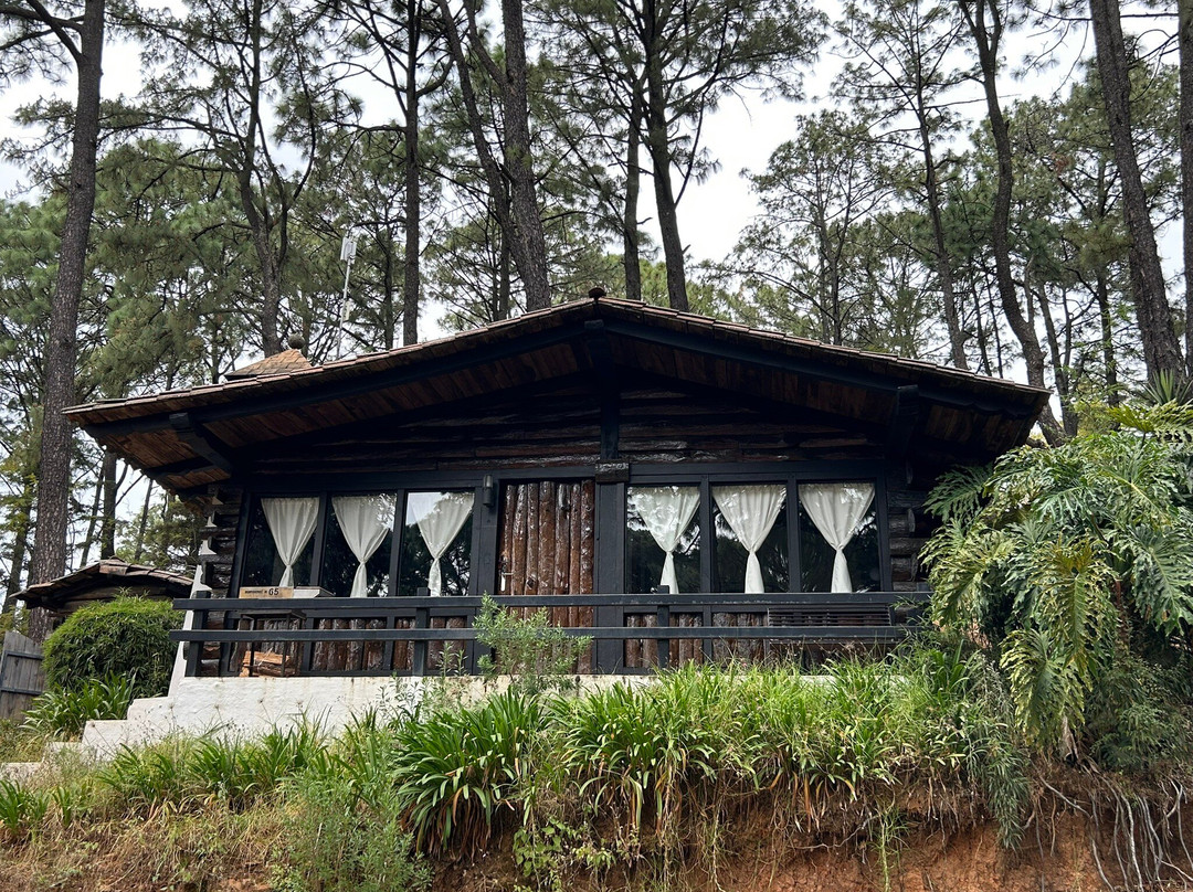 Monteverde Hotel de Cabanas主图