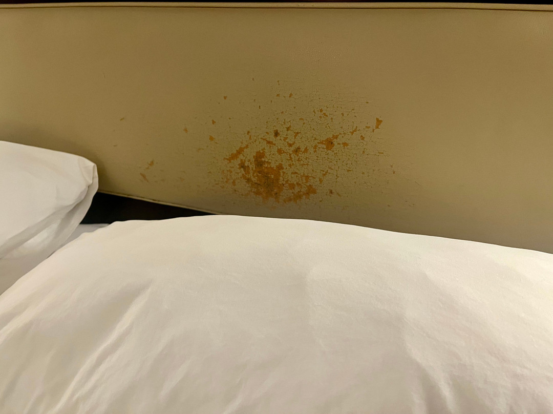 丹佛西喜来登酒店主图