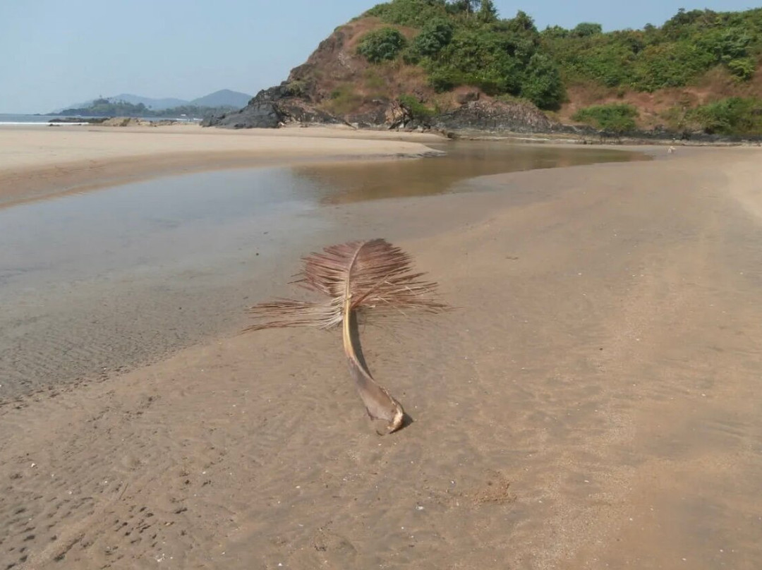 Rajbagh Beach景点图片