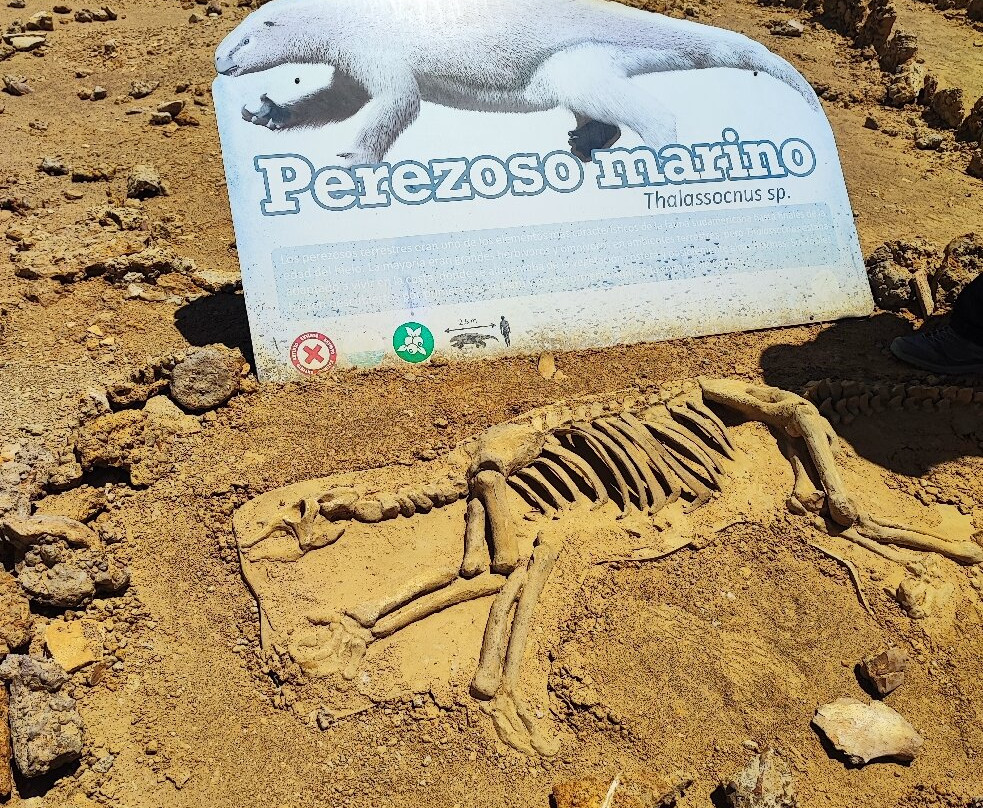 Parque Paleontologico De Caldera-Caldera必去景点