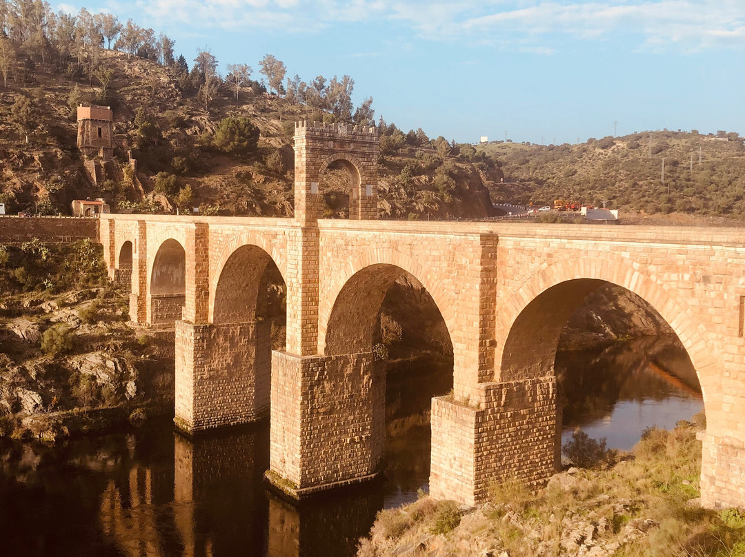 Puente de Alcantara景点图片