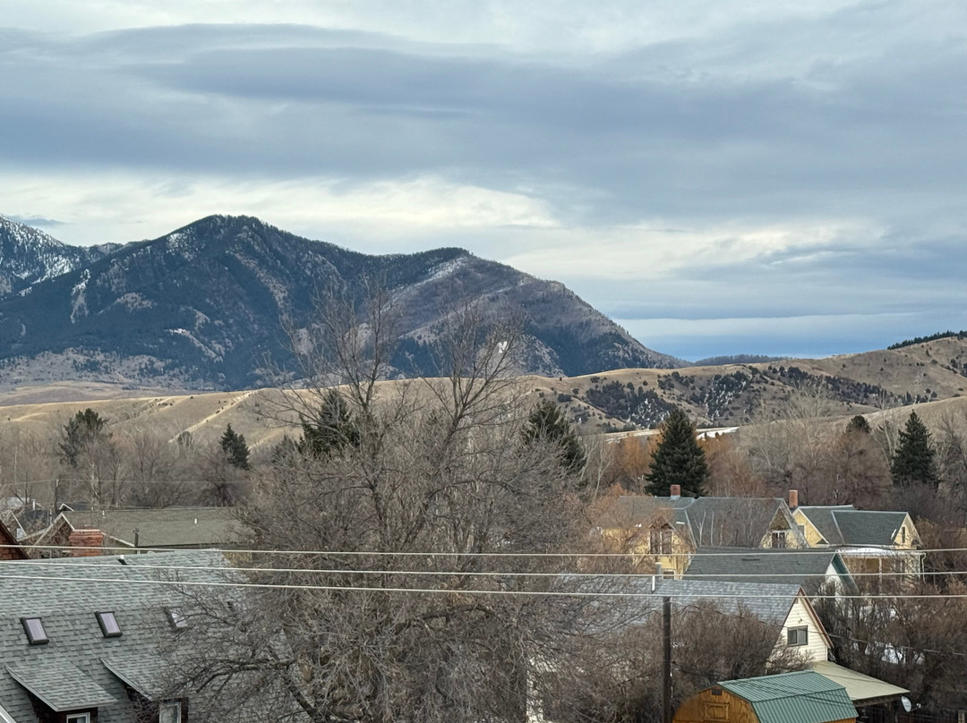 Element Bozeman主图