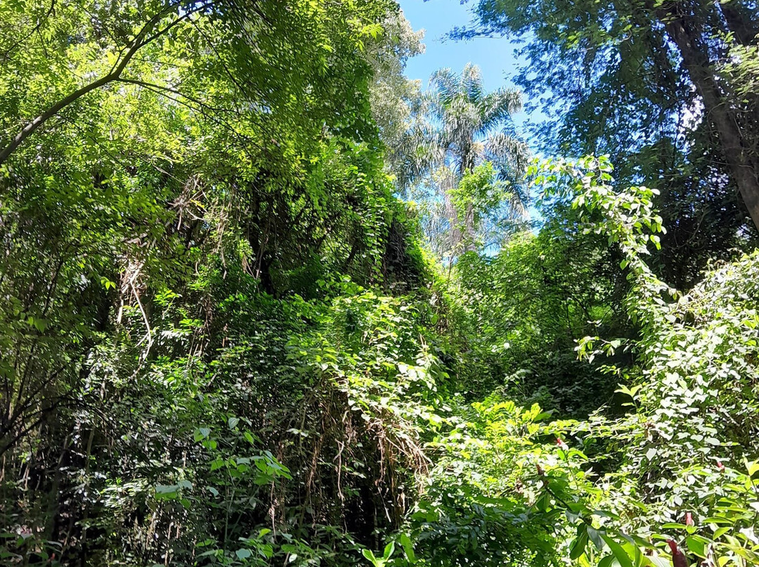 Parque da Biquinha-索罗卡巴必去景点