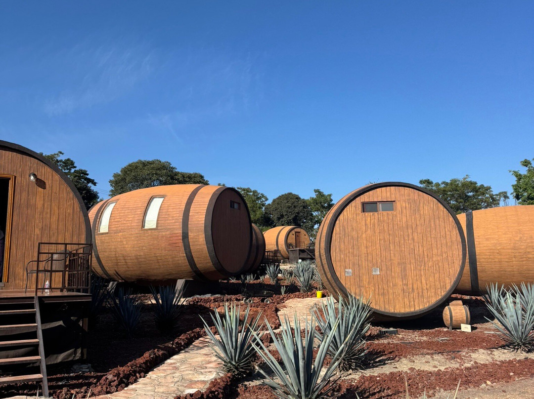 Cofradia Turistico 360-特基拉必去景点