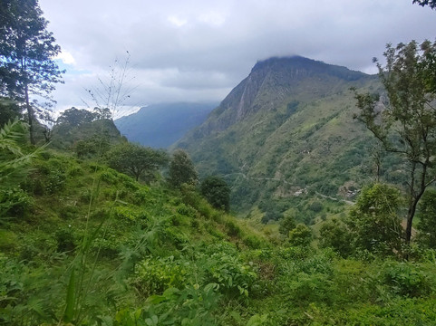 Sri Lanka Tour Experts-奴娃拉伊利雅必去景点