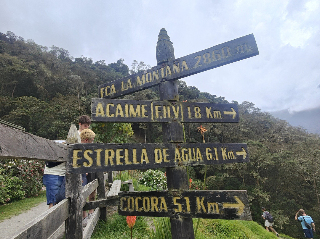 Cocora Trek Salento景点图片