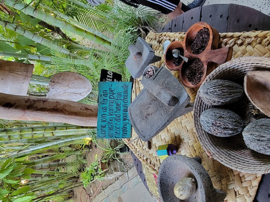 Pueblos By Vallarta Adventures-新瓦雅塔必去景点