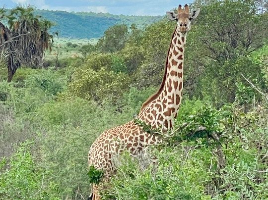 Travel Solutions Kenya-瓦塔木必去景点