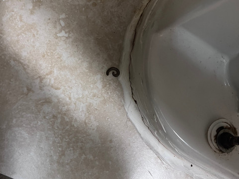 La Quinta Inn & Suites by Wyndham Cleburne主图