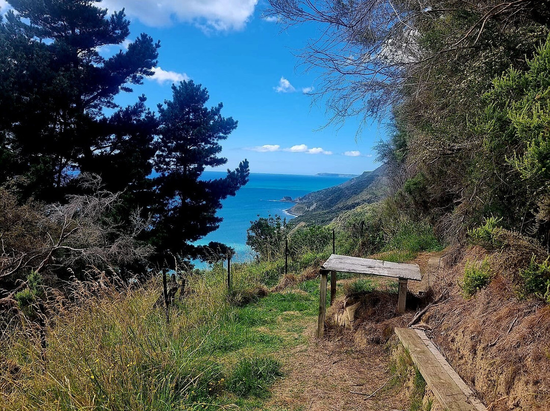 Gisborne Railbike Adventure景点图片