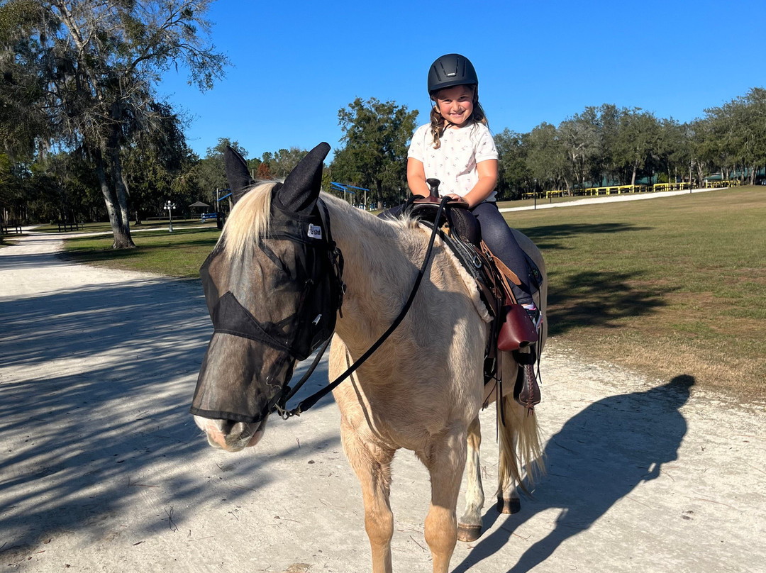 Black Prong Adventures Horseback Riding And Carriage Tours In The Goethe State Forest景点图片