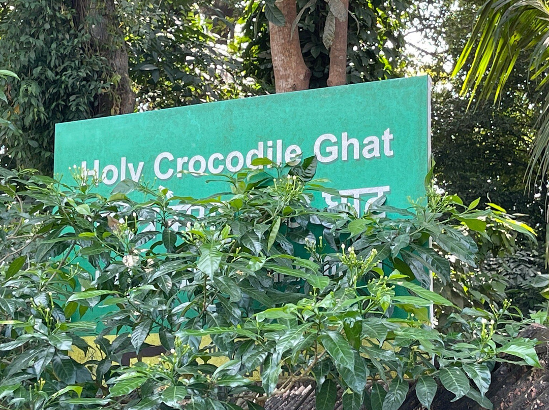 Crocodile Bnk景点图片