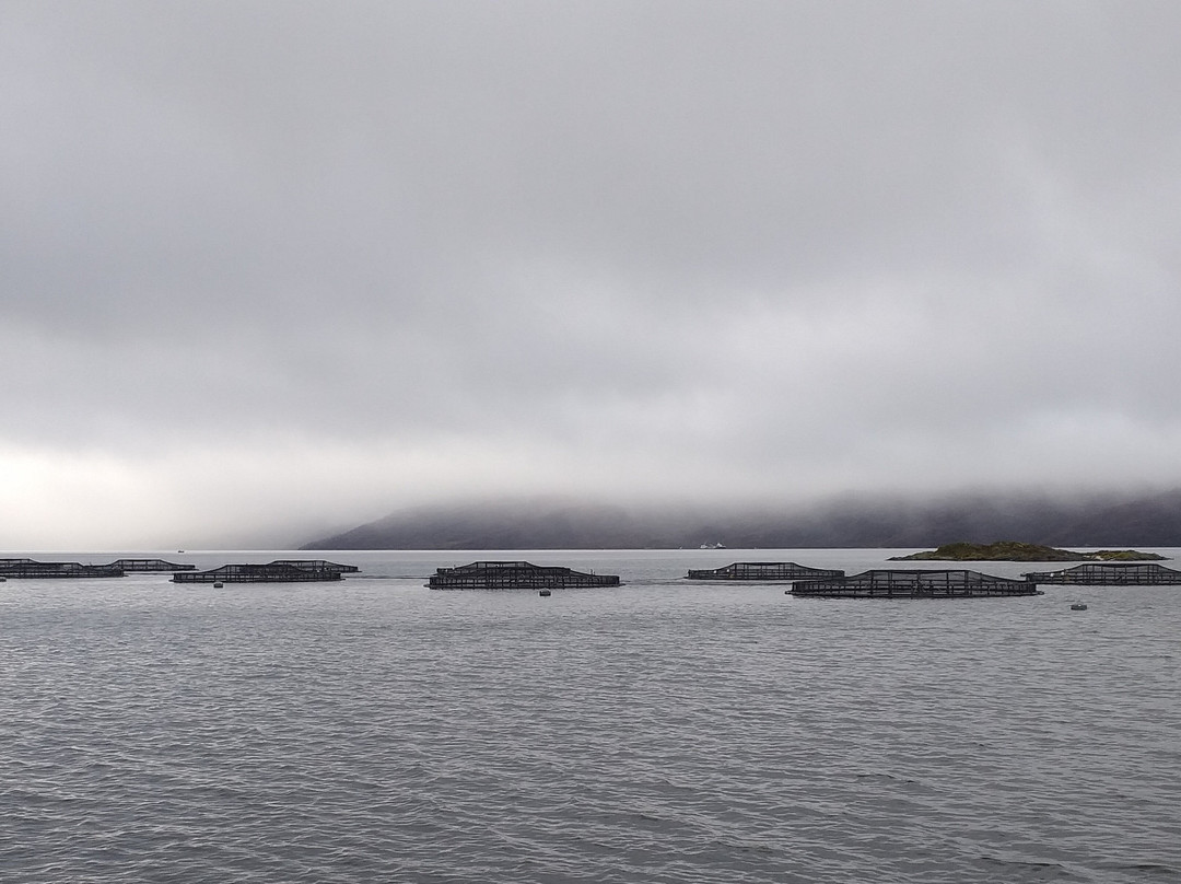 CalMac Ferries景点图片