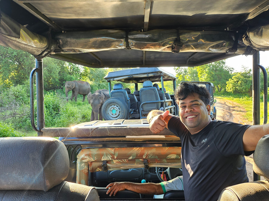 Sri Lankan Experience Tours景点图片
