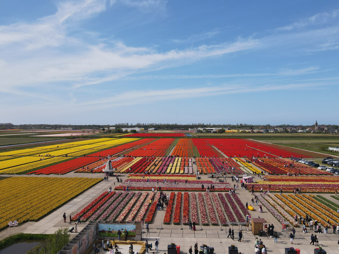 The Tulip Barn景点图片