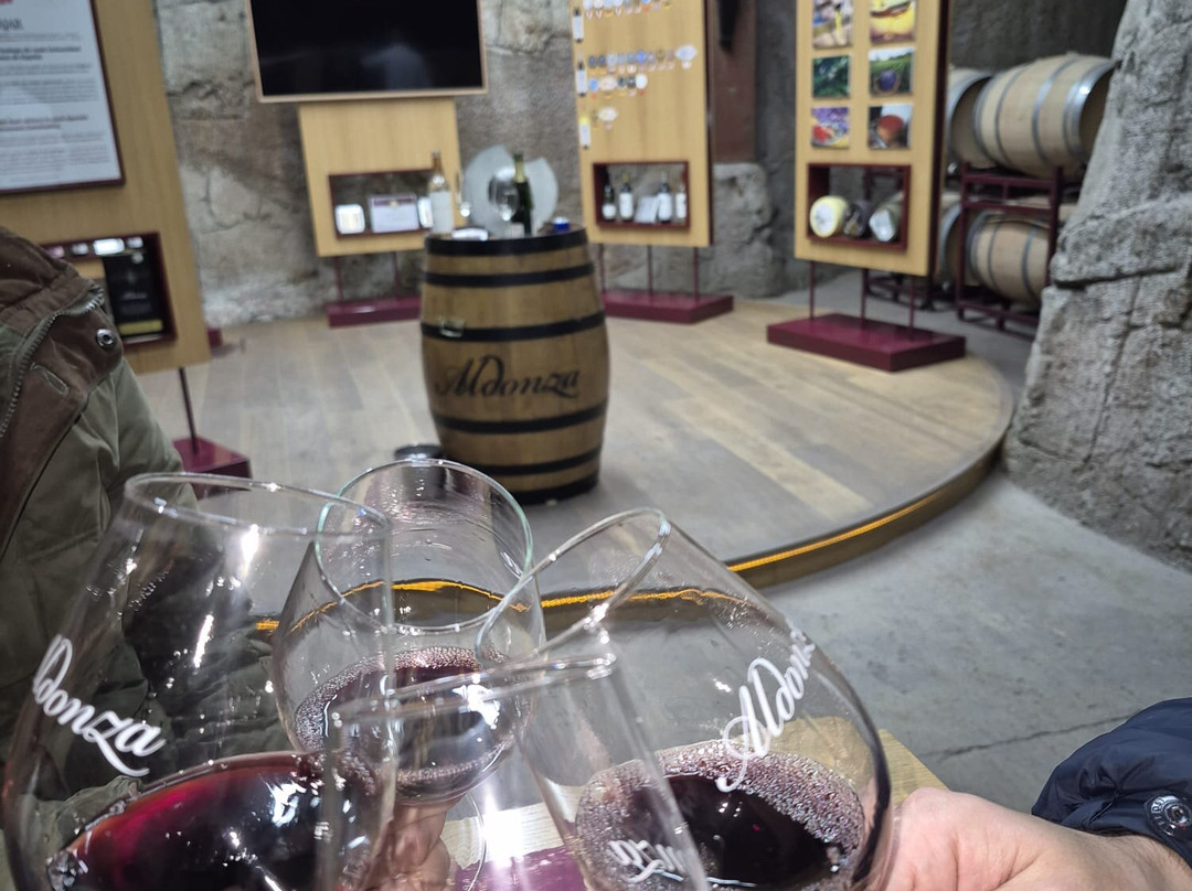 Bodegas Aldonza景点图片