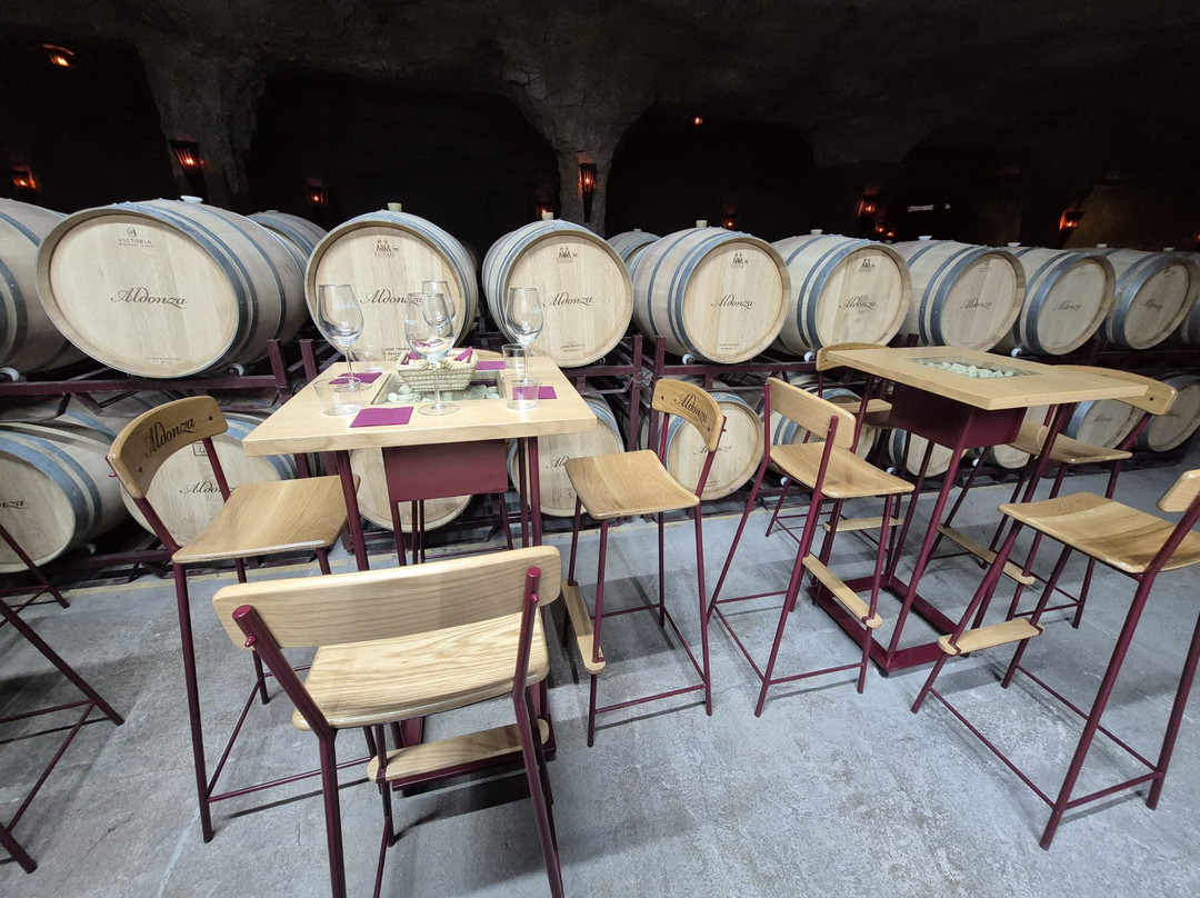 Bodegas Aldonza景点图片