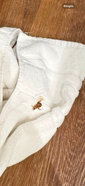 H10征服者酒店主图