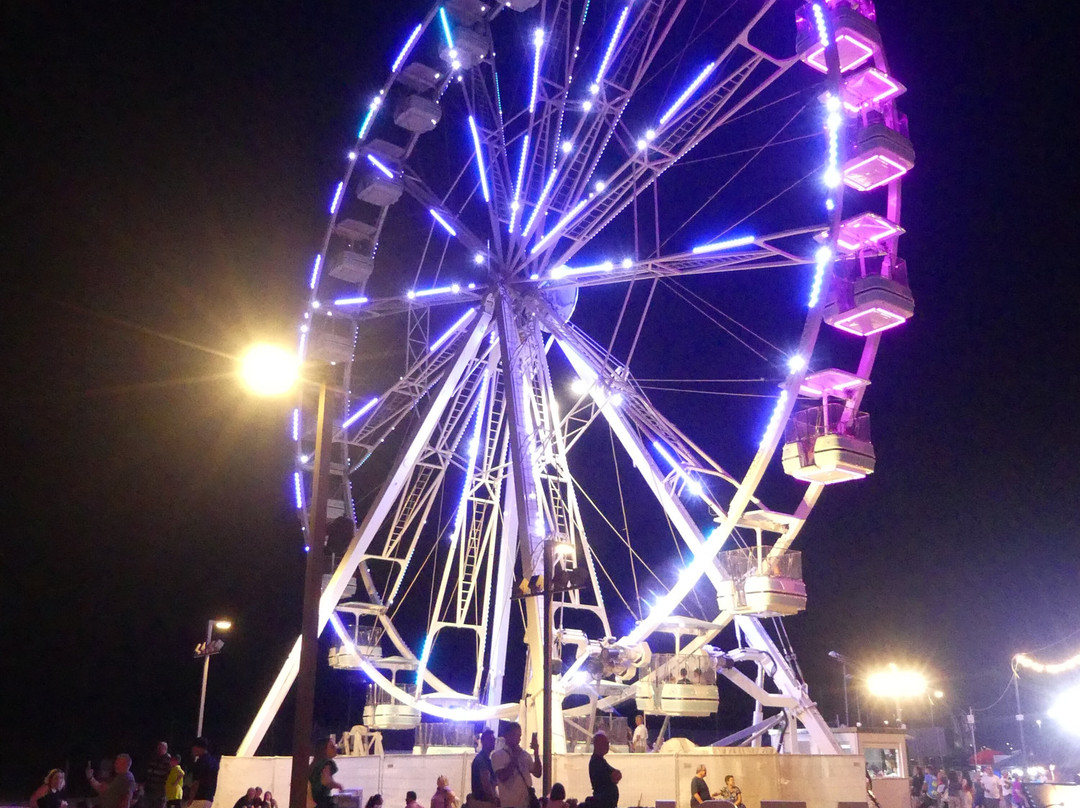 Ruota Panoramica Bellaria Igea Marina-Igea Marina必去景点