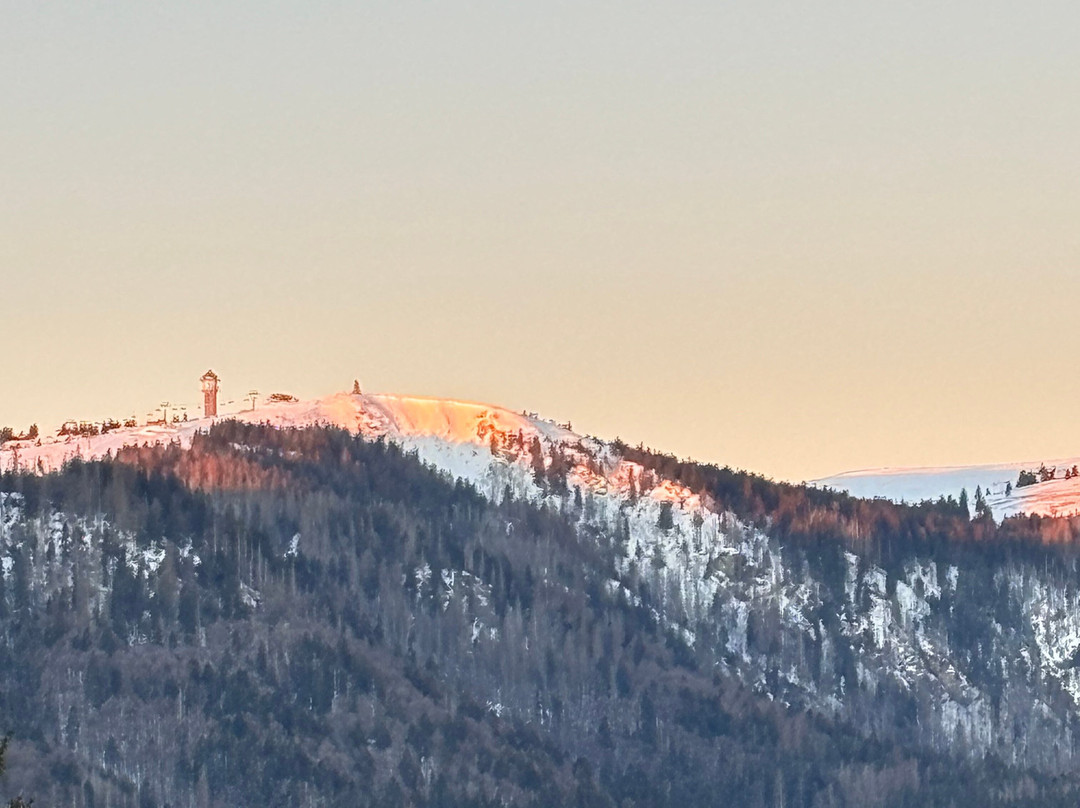 戴安娜酒店主图