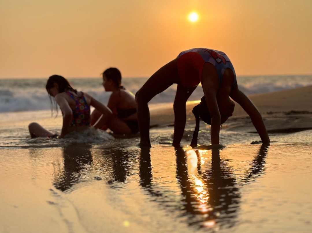 Jungle Beach Ahungalla主图