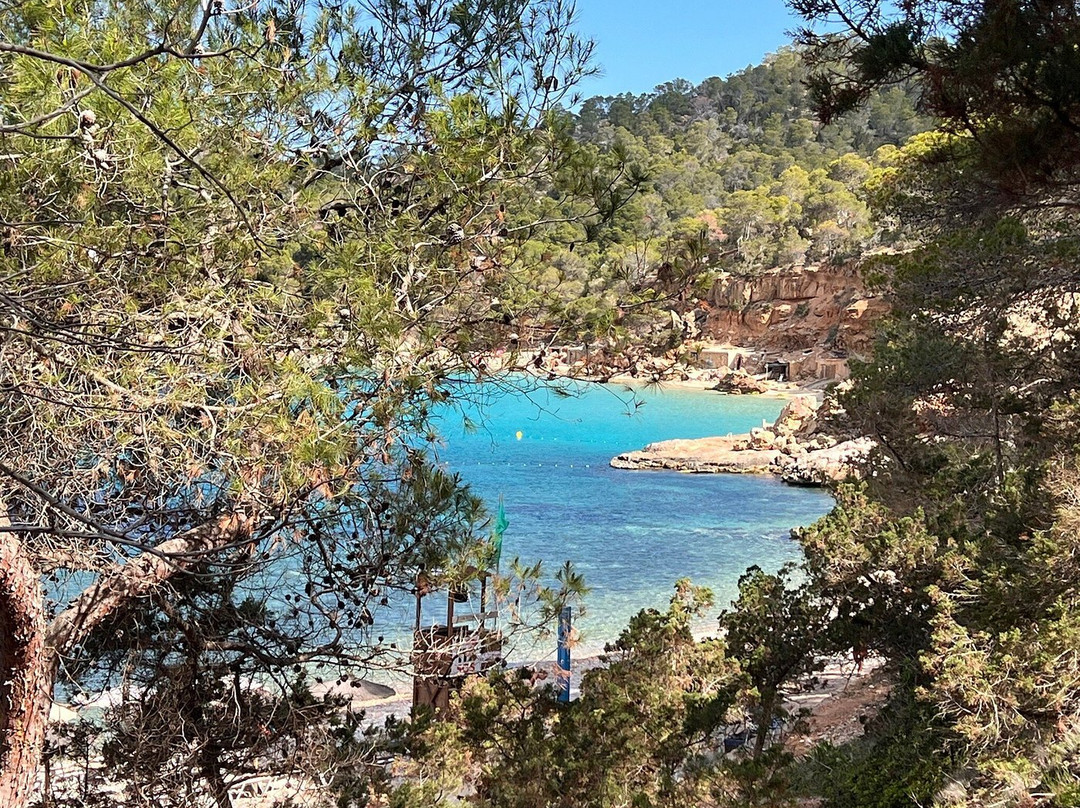 Playa Cala Salada景点图片