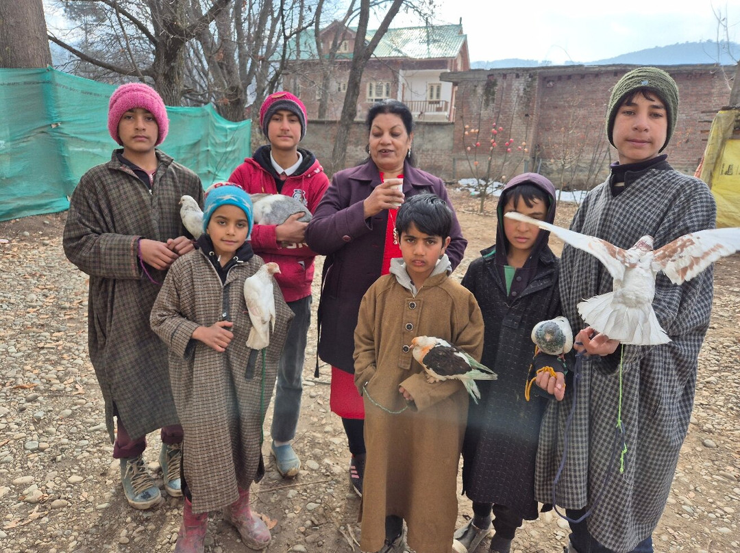 Kashmir Holiday Packages-斯利那加必去景点