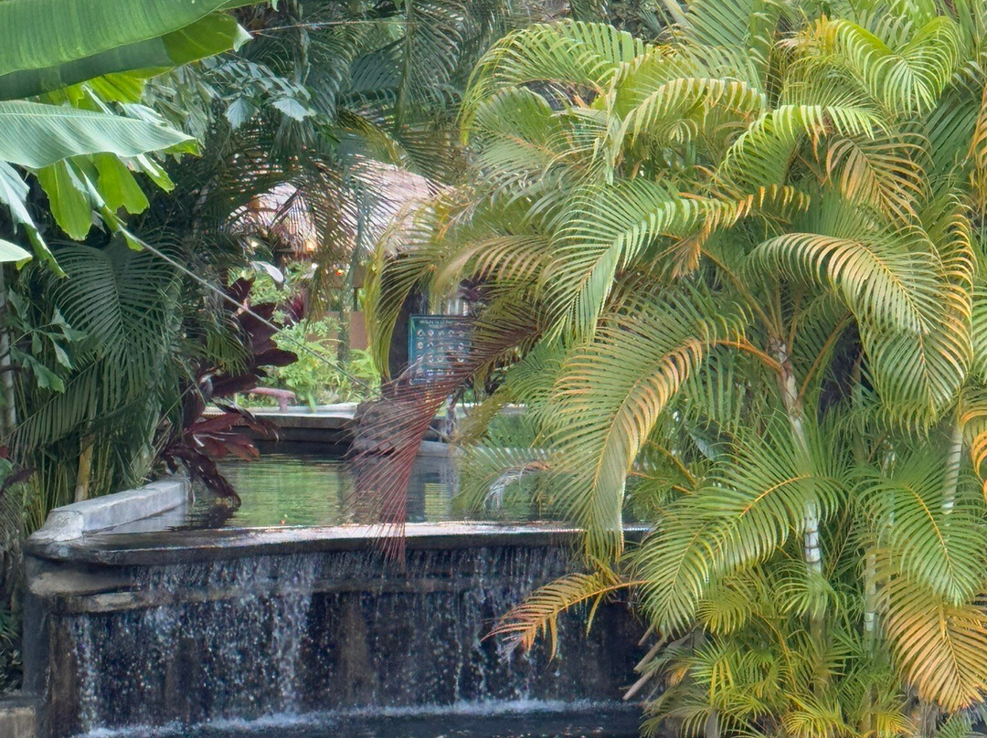 Kalambu Hot Springs-福德圣卡洛斯必去景点