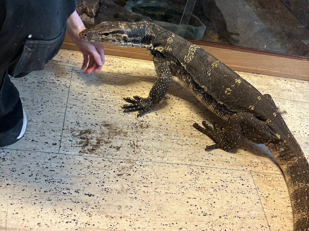Crocs R Us-Filton必去景点