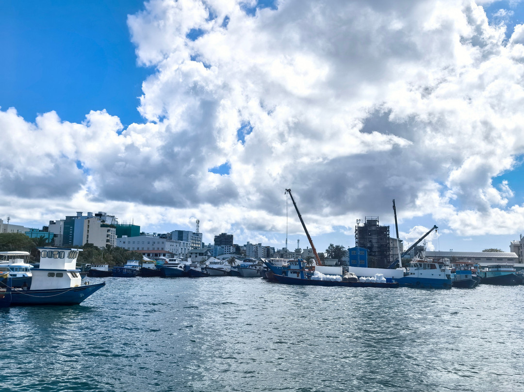 The Port of Malé-马累必去景点