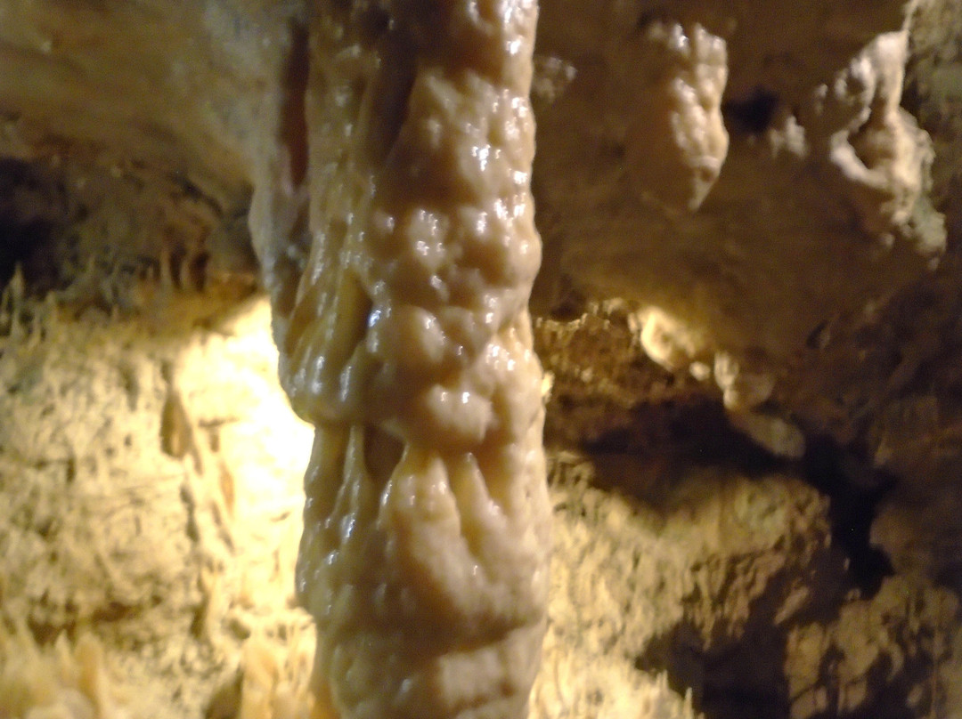 Grotte de Lastournelle景点图片