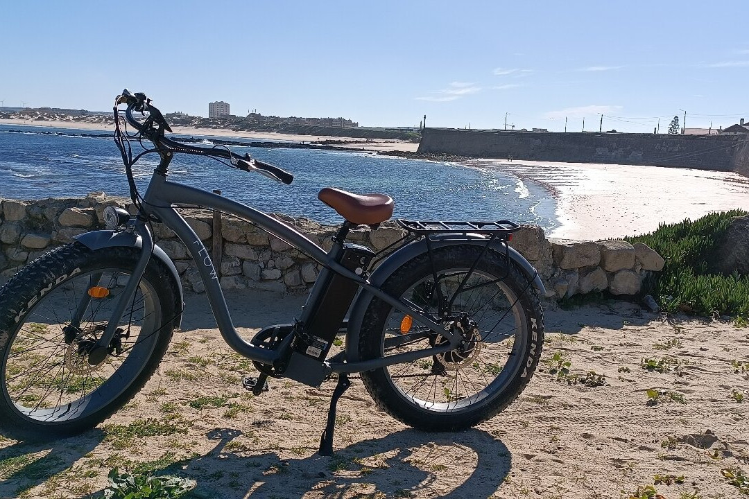 Flow: E-bike Tours And Rentals景点图片