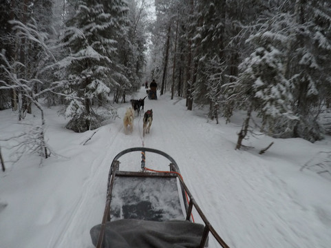 ArcticAdventures Lapland-罗瓦涅米必去景点